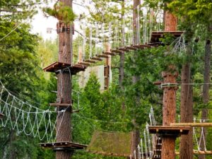 Lows Adventure 1: Unraveling the Thrills and Excitement