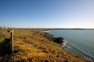 Pembrokeshire Coast Hiking: Routes and Trip Planning
